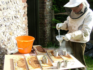 Norman Carreck freezing brood cells to kill bee larvae: 