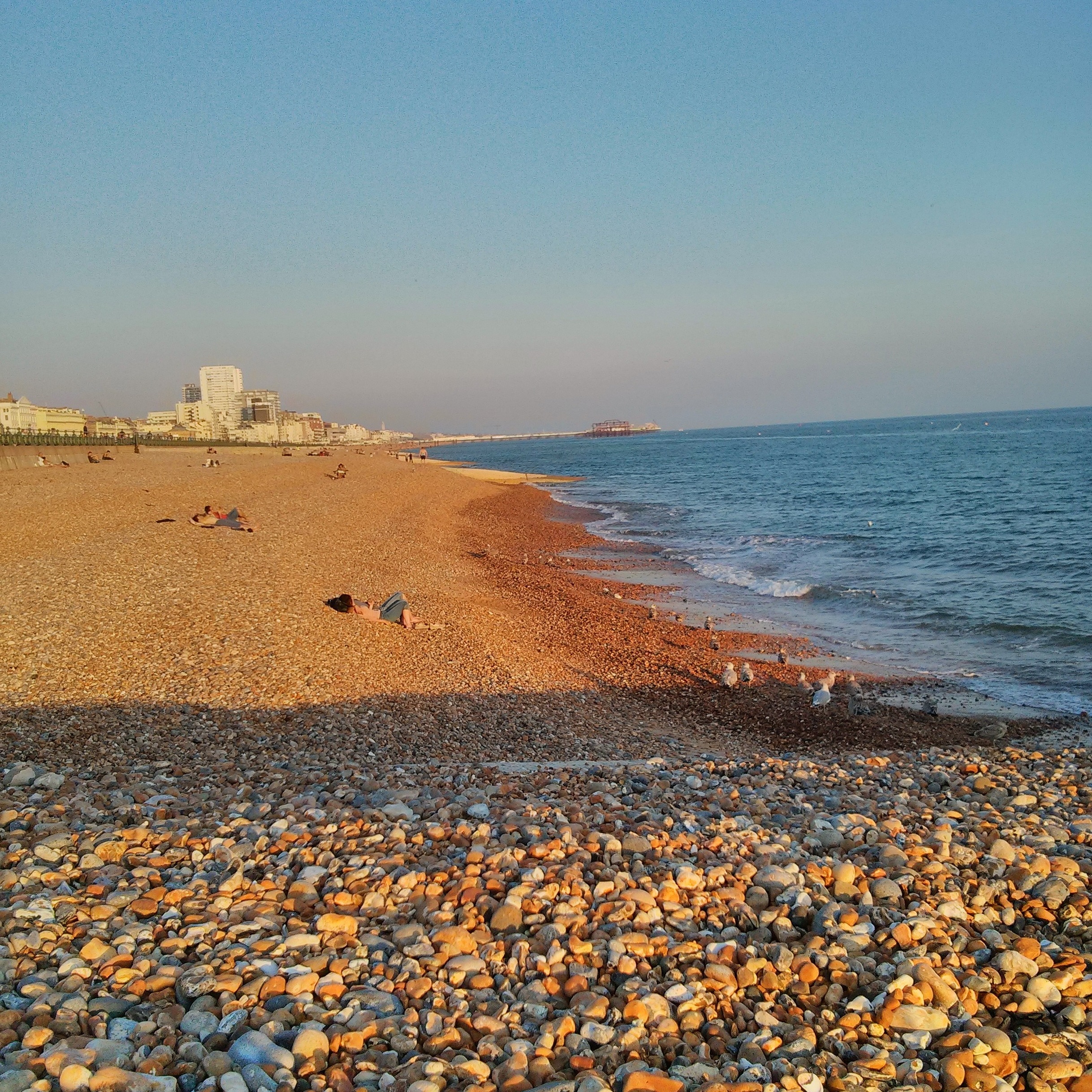Beach Pic of Brighton