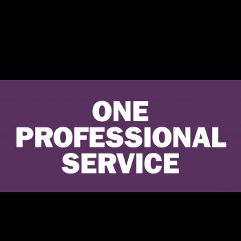 One Professional Service (1PS) logo