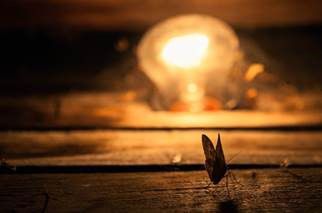 A moth in front of a lit lightbulb in the night.