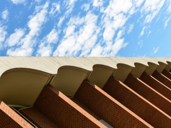 A view of the arches in the roof of Sussex Library. The sky above is a blue.