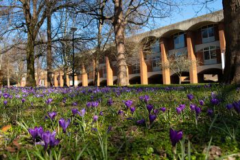 flowers on campus