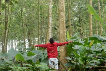 A young boy with his back to the camera stretches his arms up and out at the foot of a huge tree