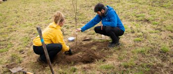 A student and staff volunteer squat on the ground around a freshly planted young tree