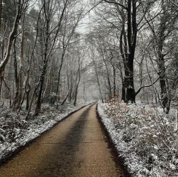 Snow covered country roads taken by student photographer