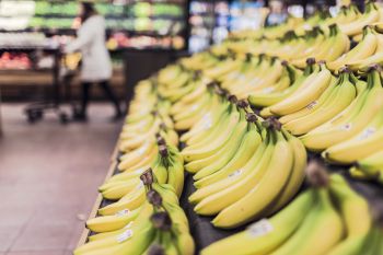 Identical looking bananas placed on shelf in supermarket
