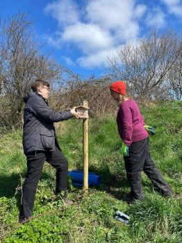 A group of volunteers and Sussex researchers installing and presenting the new pollinator signs, guides and bee hotels