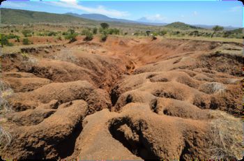Land degradation on east African farmland