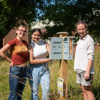 Dr Ellen Rotheray and students Hannah Ferguson and Natasha Chand with a bee hotel on campus