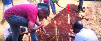 Soil bunds installed at one of the REAL NbS project’s experimental sites in Ethiopia.