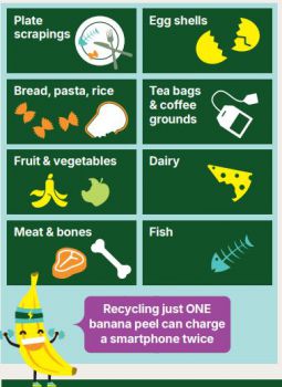 Dark green boxes with food waste items that can go in the caddy for recycling. Small image of a banana at the bottom with speech bubble fact 