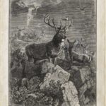 Dalziel after Joseph Wolf, ‘The Exiles of Oona’, illustration for Robert Buchanan, North Coast and other Poems