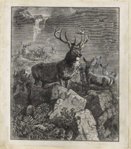 Dalziel after Joseph Wolf, ‘The Exiles of Oona’, illustration for Robert Buchanan, North Coast and other Poems