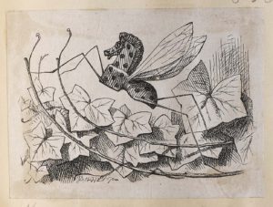 Dalziel after John Tenniel, illustration for ‘Looking-glass insects’, in Lewis Carroll [Charles Lutwidge Dodgson], Through the Looking-Glass, and What Alice Found There