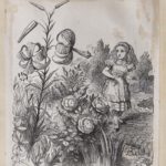 Dalziel after John Tenniel, illustration for ‘The Garden of Live Flowers’, Lewis Carroll [Charles Lutwidge Dodgson], Through the Looking-Glass, and What Alice Found There