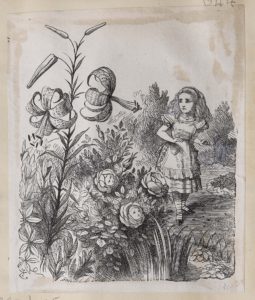 Dalziel after John Tenniel, illustration for ‘The Garden of Live Flowers’, Lewis Carroll [Charles Lutwidge Dodgson], Through the Looking-Glass, and What Alice Found There