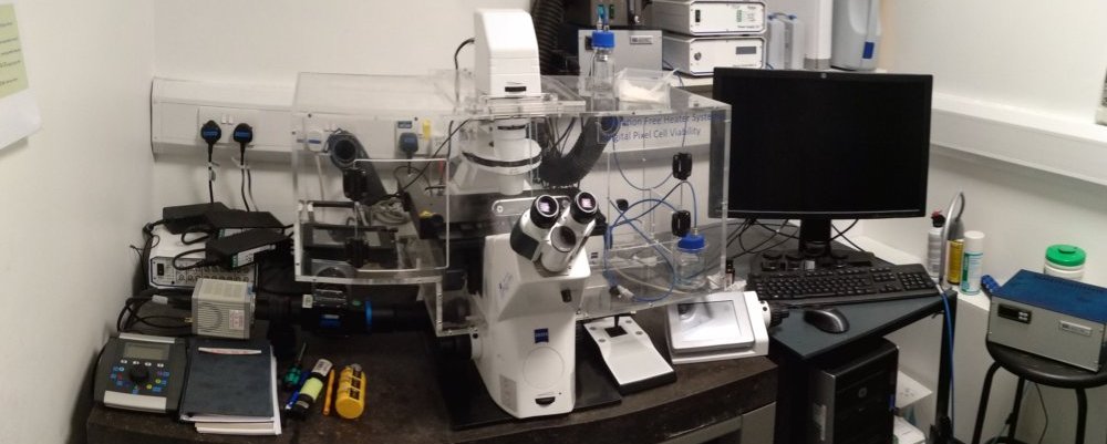 Image of Apotome