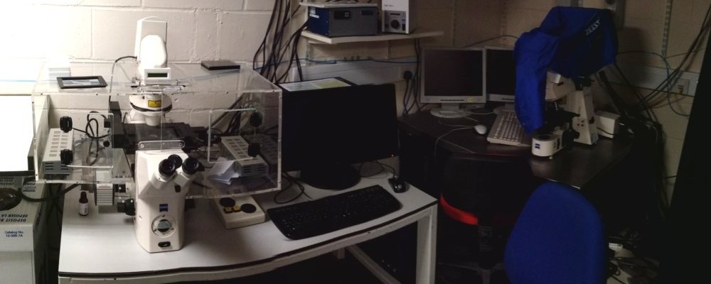 Image of AxioVert