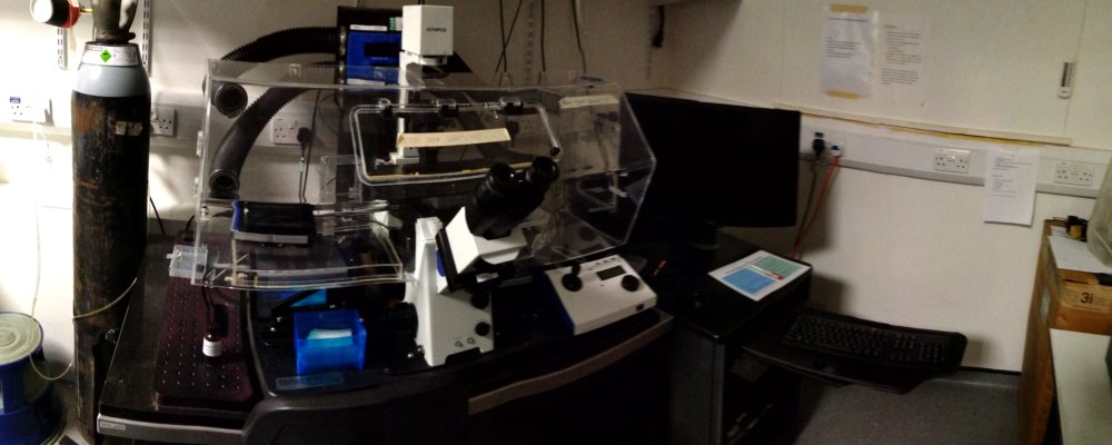 Image of IX71_pdv