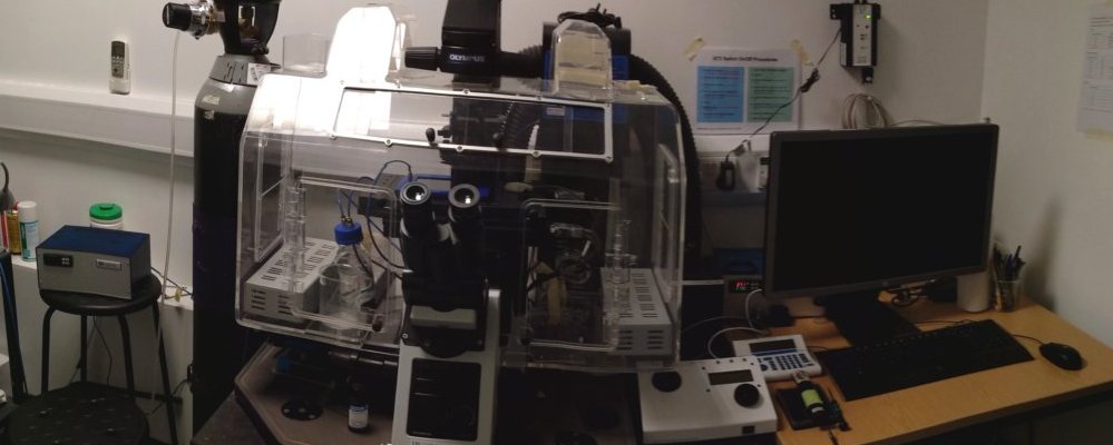 Image of IX73