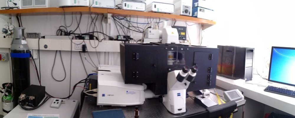Image of LSM880