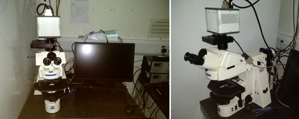Image of ZeissUpright