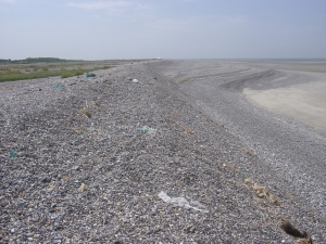 06280015.JPG