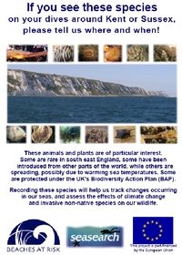 image of Seasearch leaflet