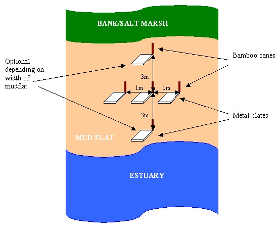 Cross shape diagram