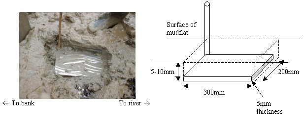 Plate laying diagram