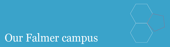 University of brighton social engagement strategy