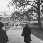 Falmer House October 1962