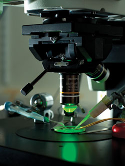 Fluorescence microscope