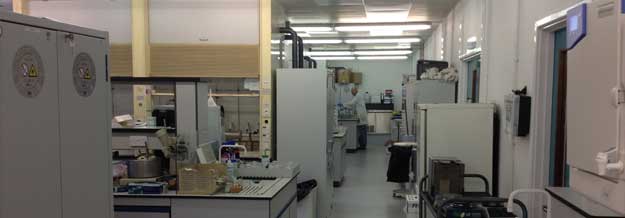 Lab