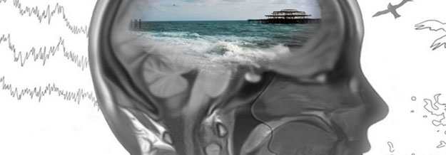 Model of head with Brighton pier located in brain