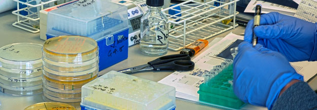 preparing for an experiment