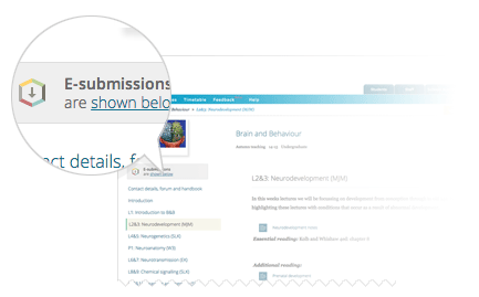 screenshot showing the e-submissions banner on the Study Direct module page and the section in the left-hand margin showing details of assessments which can be submitted online