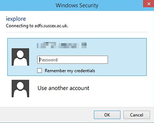 login window seen by IE users