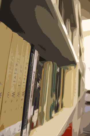 Book Shelf Designer