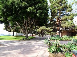 University of California, Santa Barbara