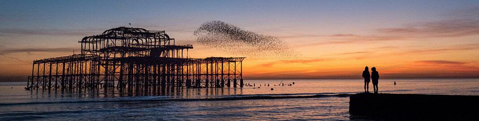 murmeration of starlings over the old, West Pier at sunset