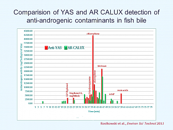 calux aafish