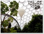 Eden project balloon