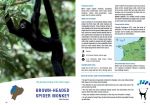 Primate Guide