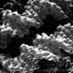 DNA on nucleosome DNA on nucleosome
