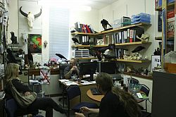 office