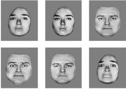Fearful and neutral facial expressions