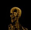 xray colour image