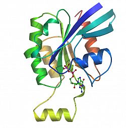 Rac2 + GDP (2w2t)