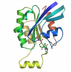 Rac2 + GDP (2w2t)